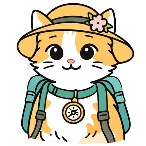 Kot Klara - KotRabatowy.pl